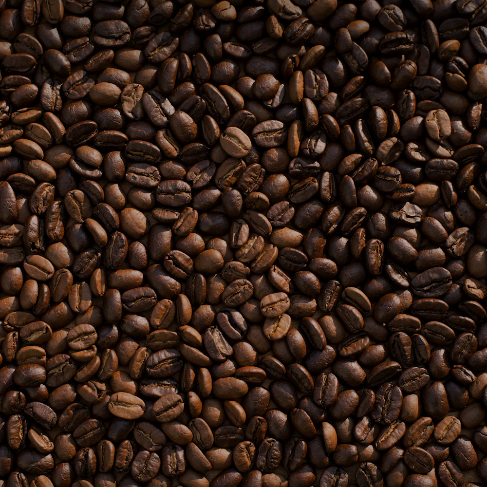 Close-up of freshly roasted coffee beans