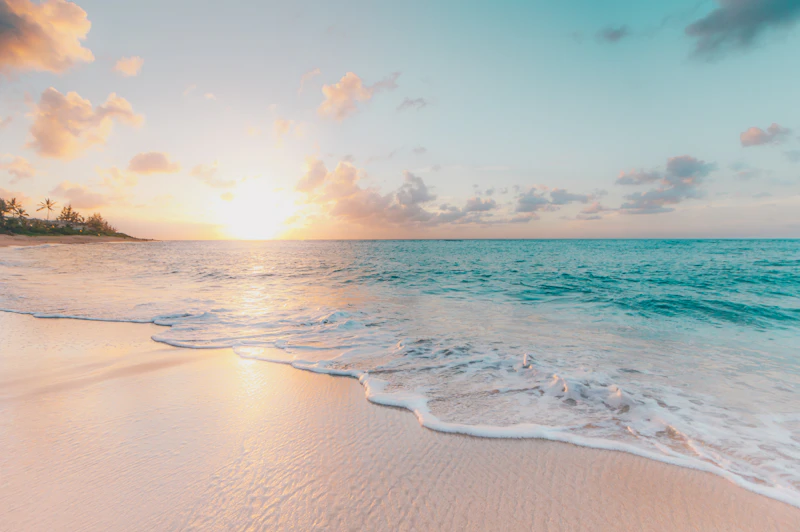 Palm-lined beach with turquoise water