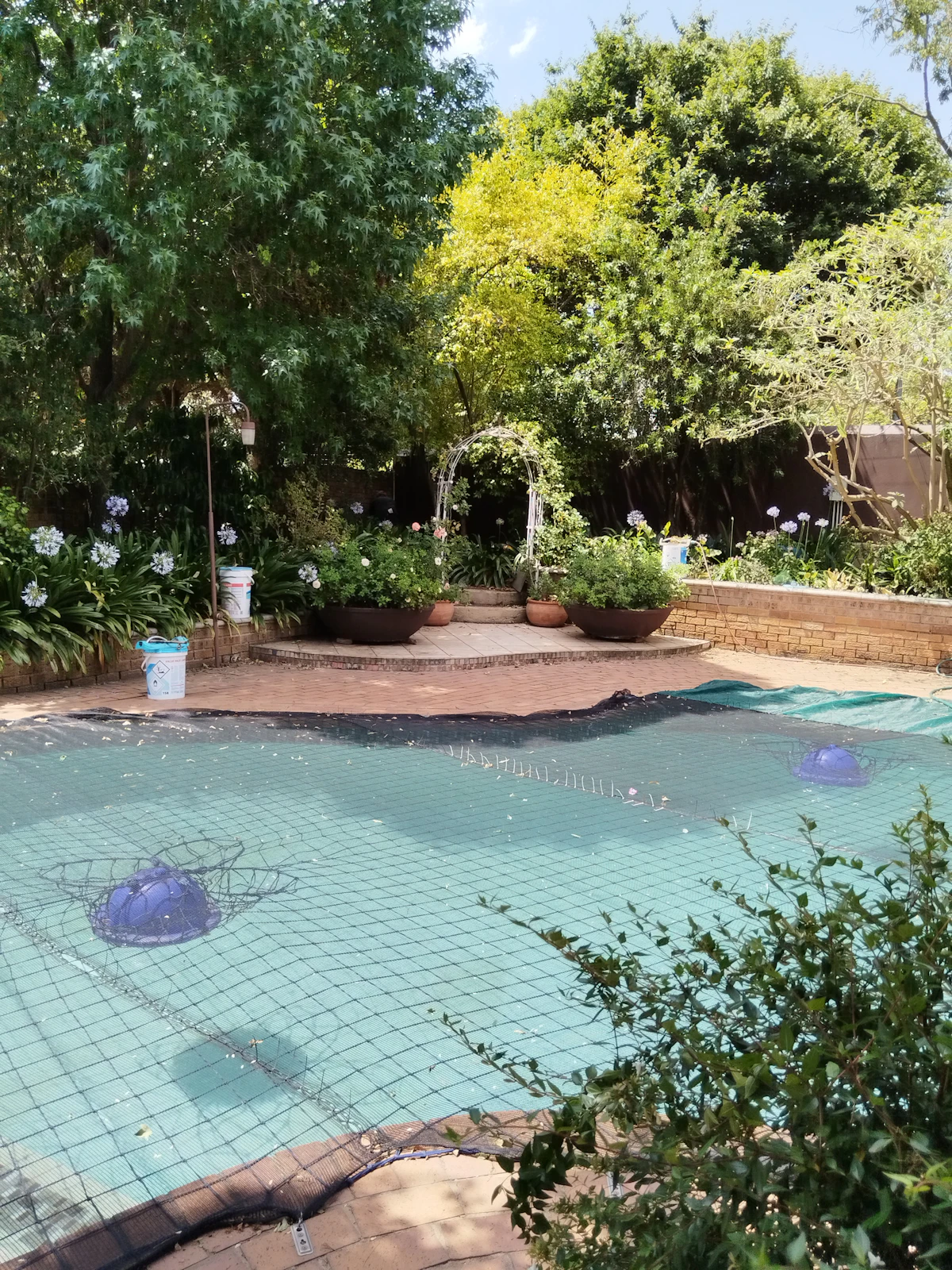 Illustrative before example: a plain above-ground pool area with minimal planting, standing in for a typical starting yard