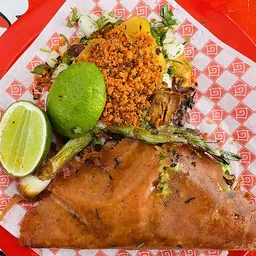 Burleigh Fish Tacos
